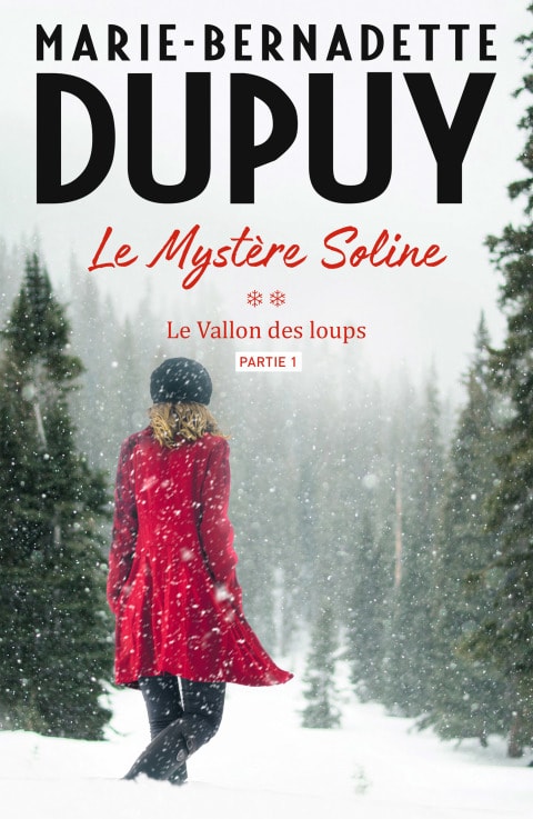 Le Mystère Soline, T2 - Le vallon des loups - partie 1 - Memory Image