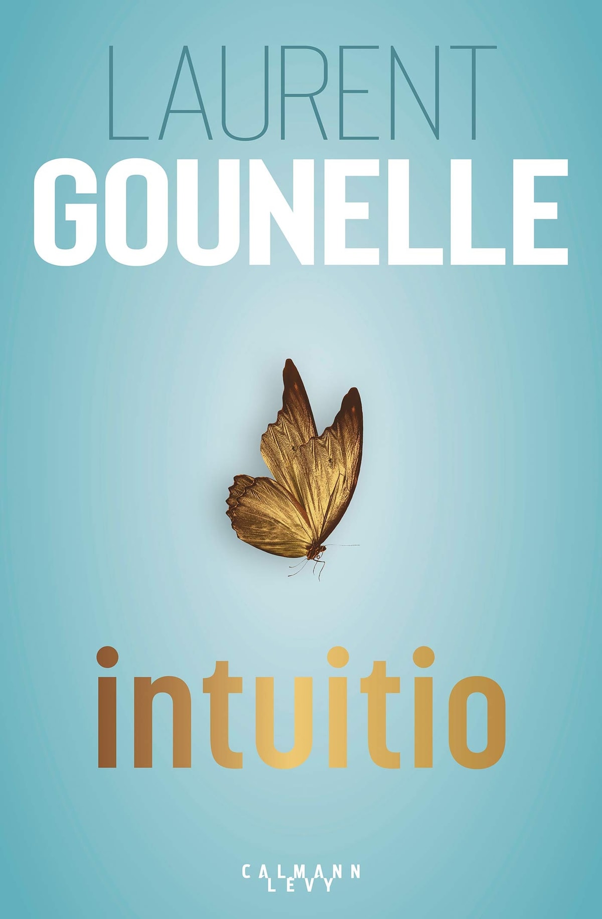 Intuitio - Memory Image