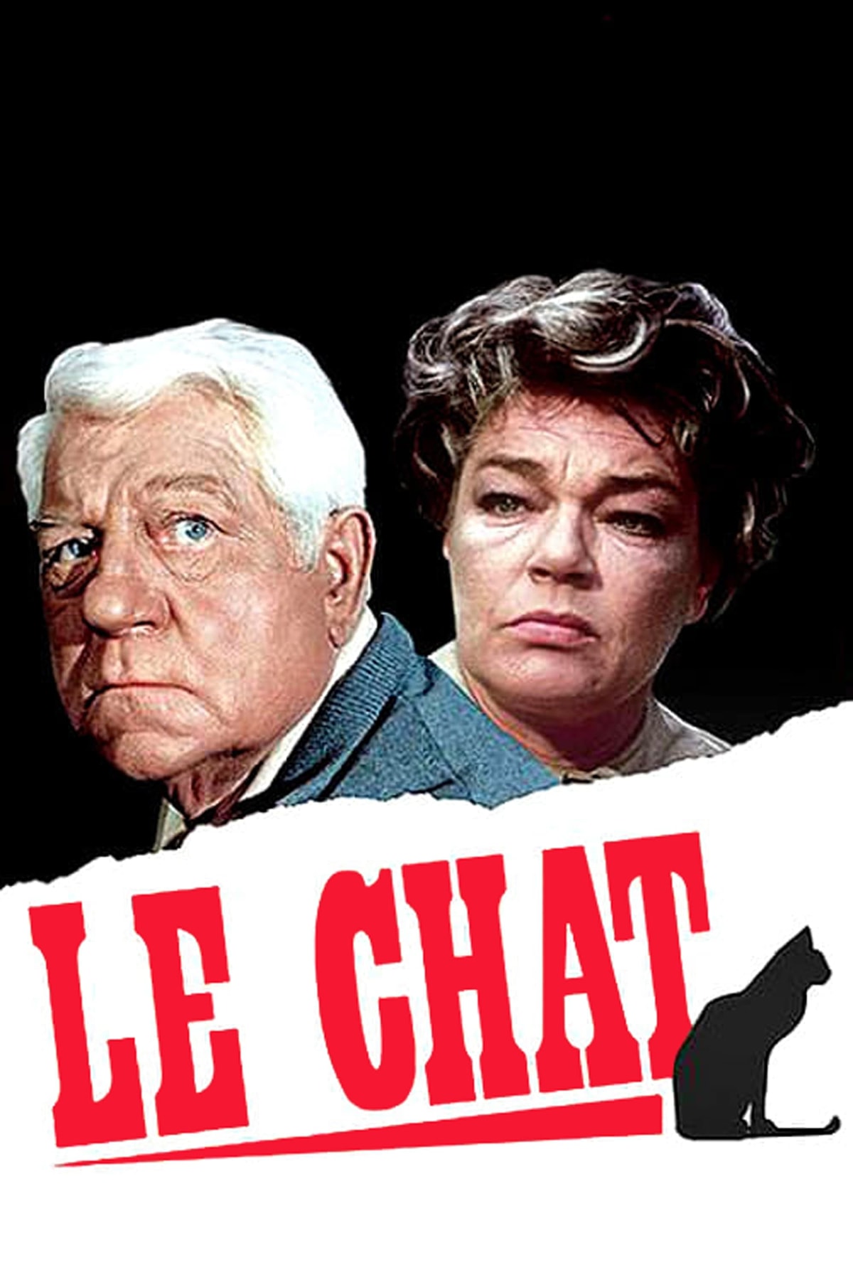 Le chat - Memory Image