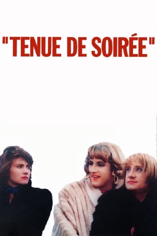 Tenue de soirée - Memory Image