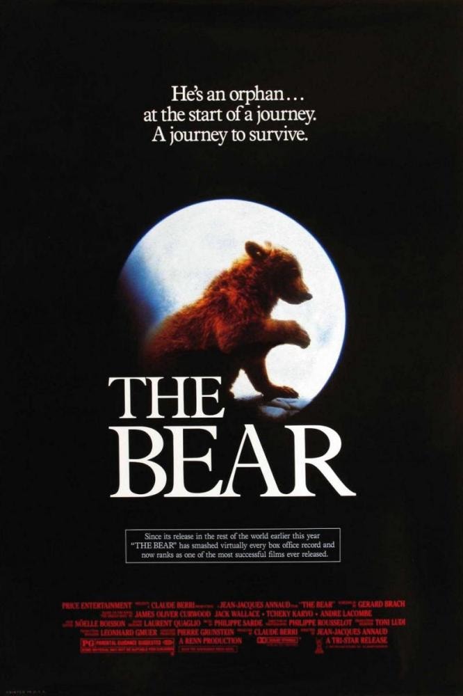The Bear - Memory Image