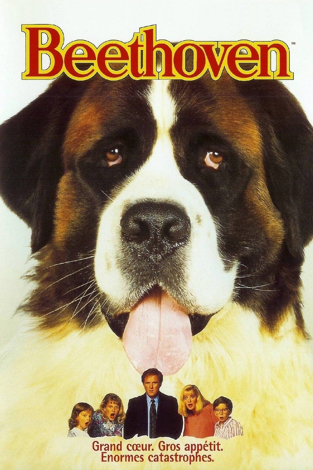 Beethoven - Memory Image