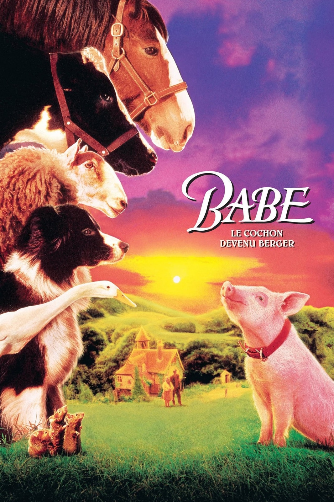 Babe le cochon devenu berger - Memory Image