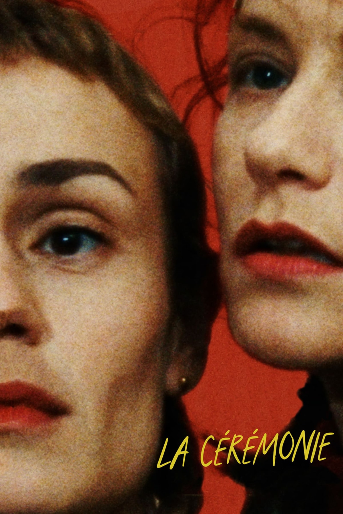La cérémonie - Memory Image