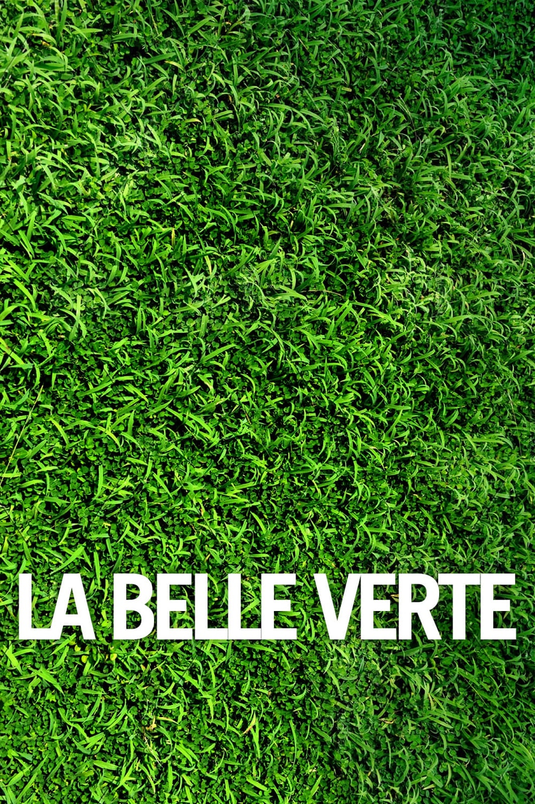 La belle verte - Memory Image