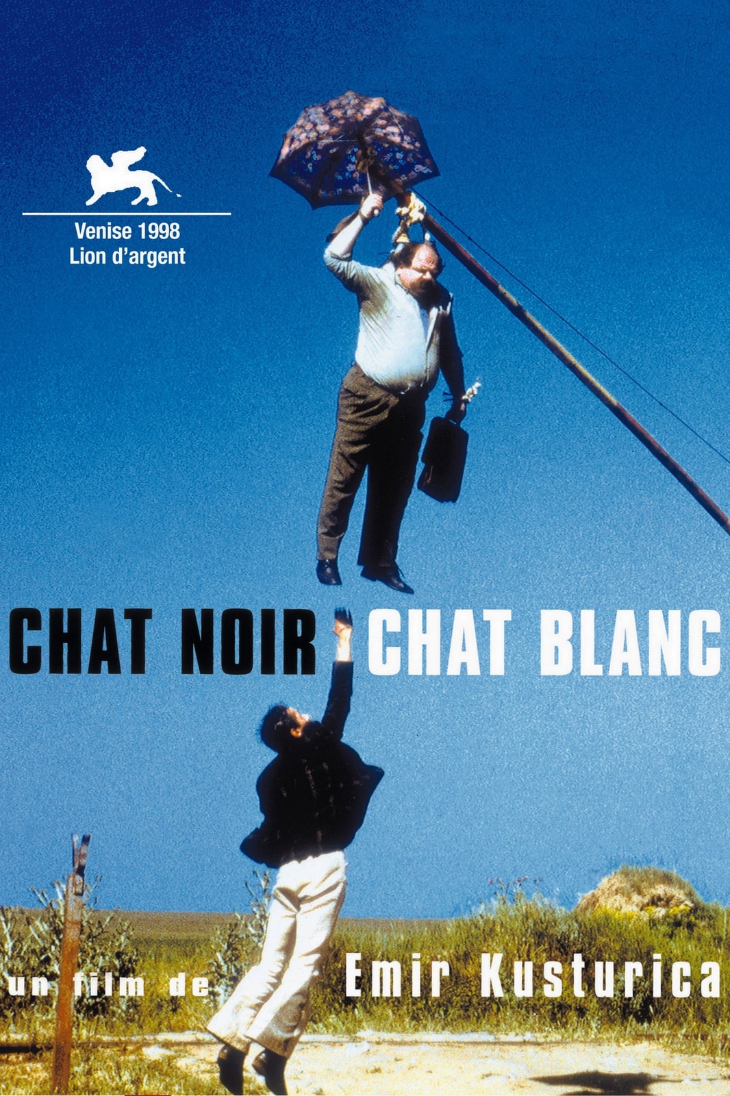 Chat noir, chat blanc - Memory Image