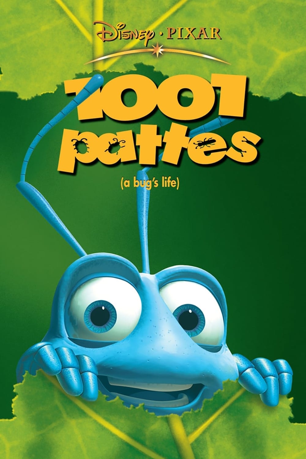 1001 pattes - Memory Image