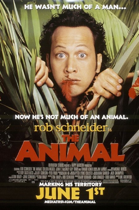 The Animal - Memory Image