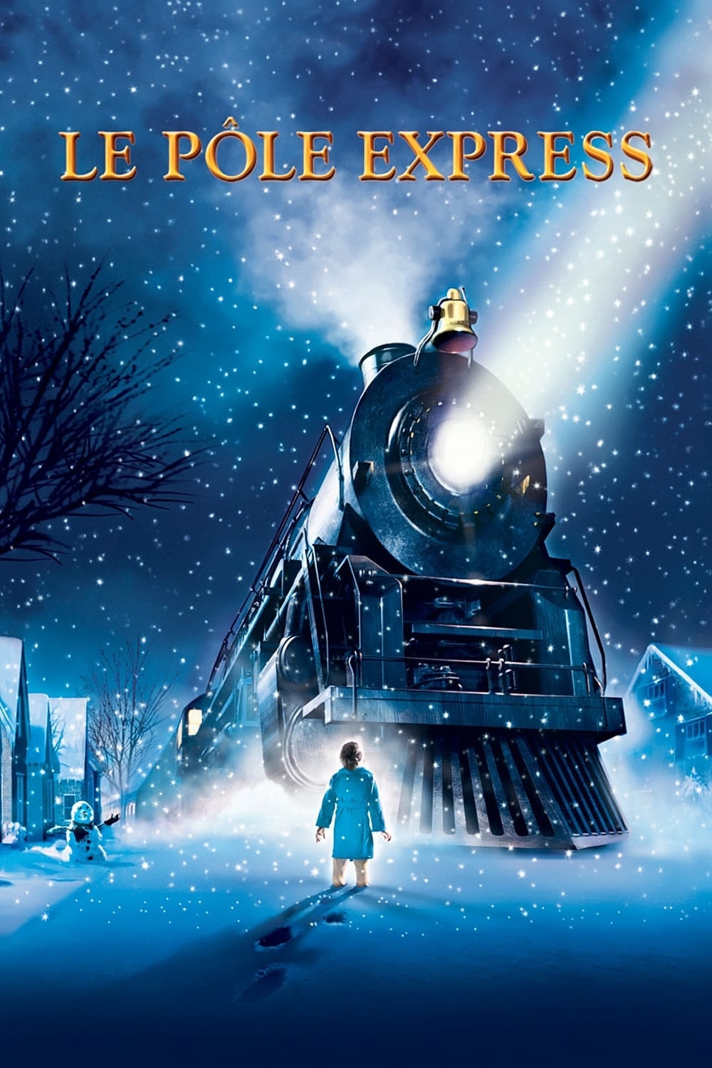 Le Pôle express - Memory Image