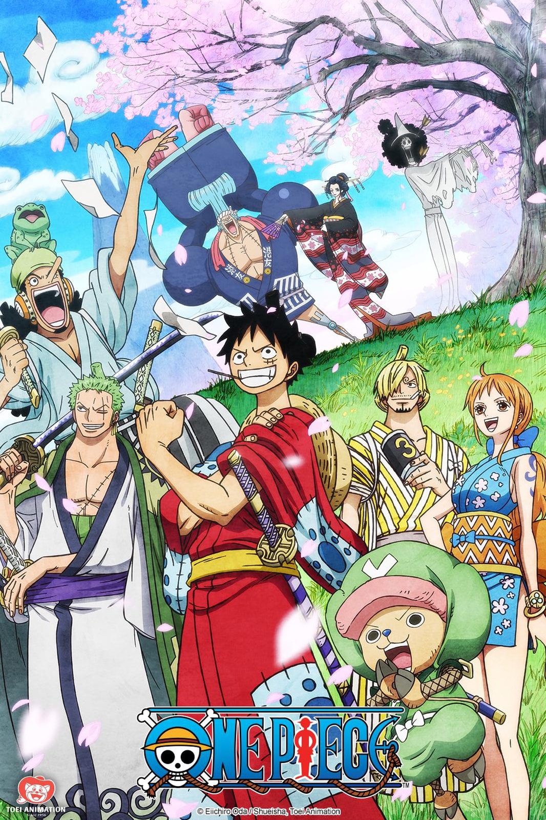 One Piece - Memory Image