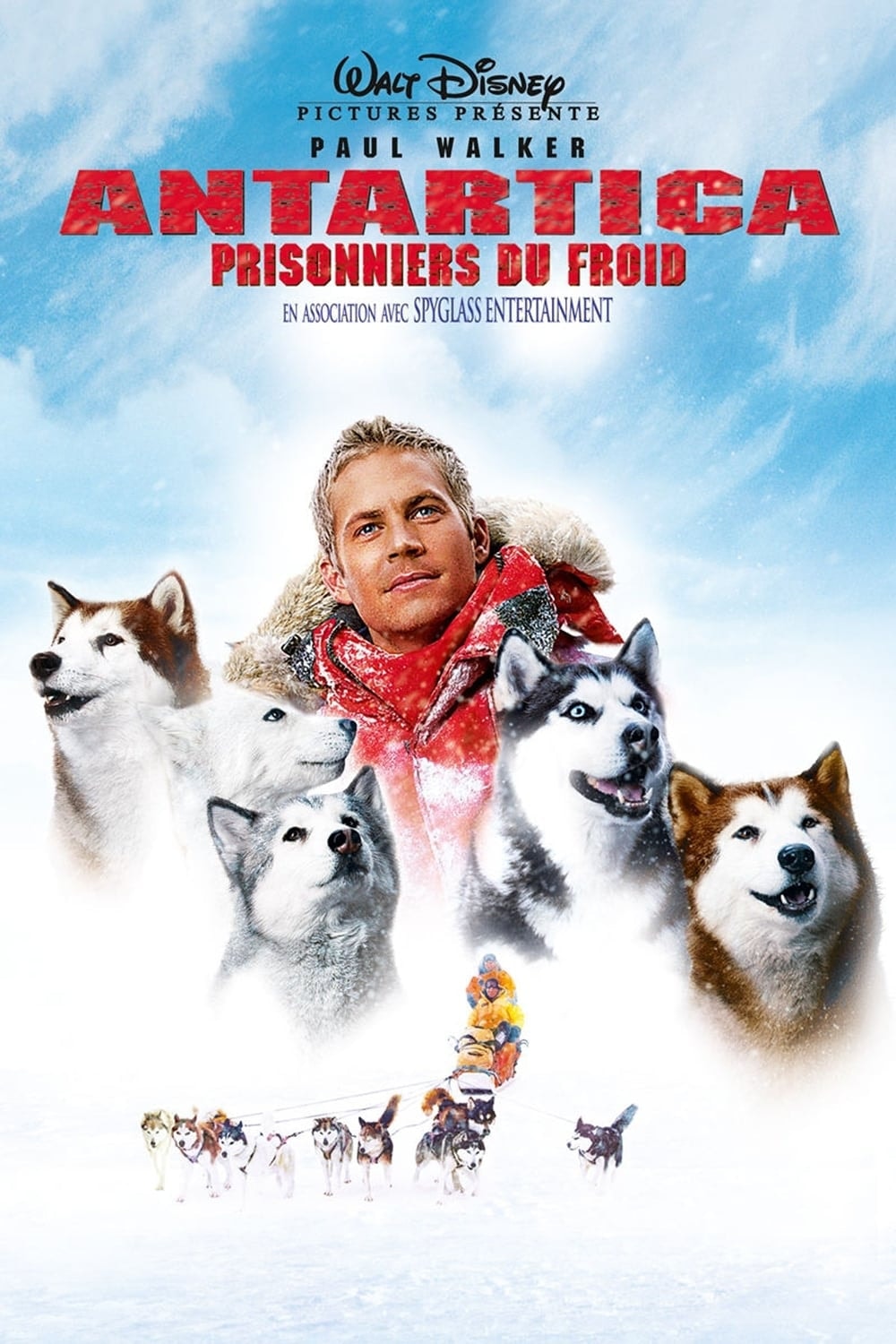 Antartica, prisonniers du froid - Memory Image