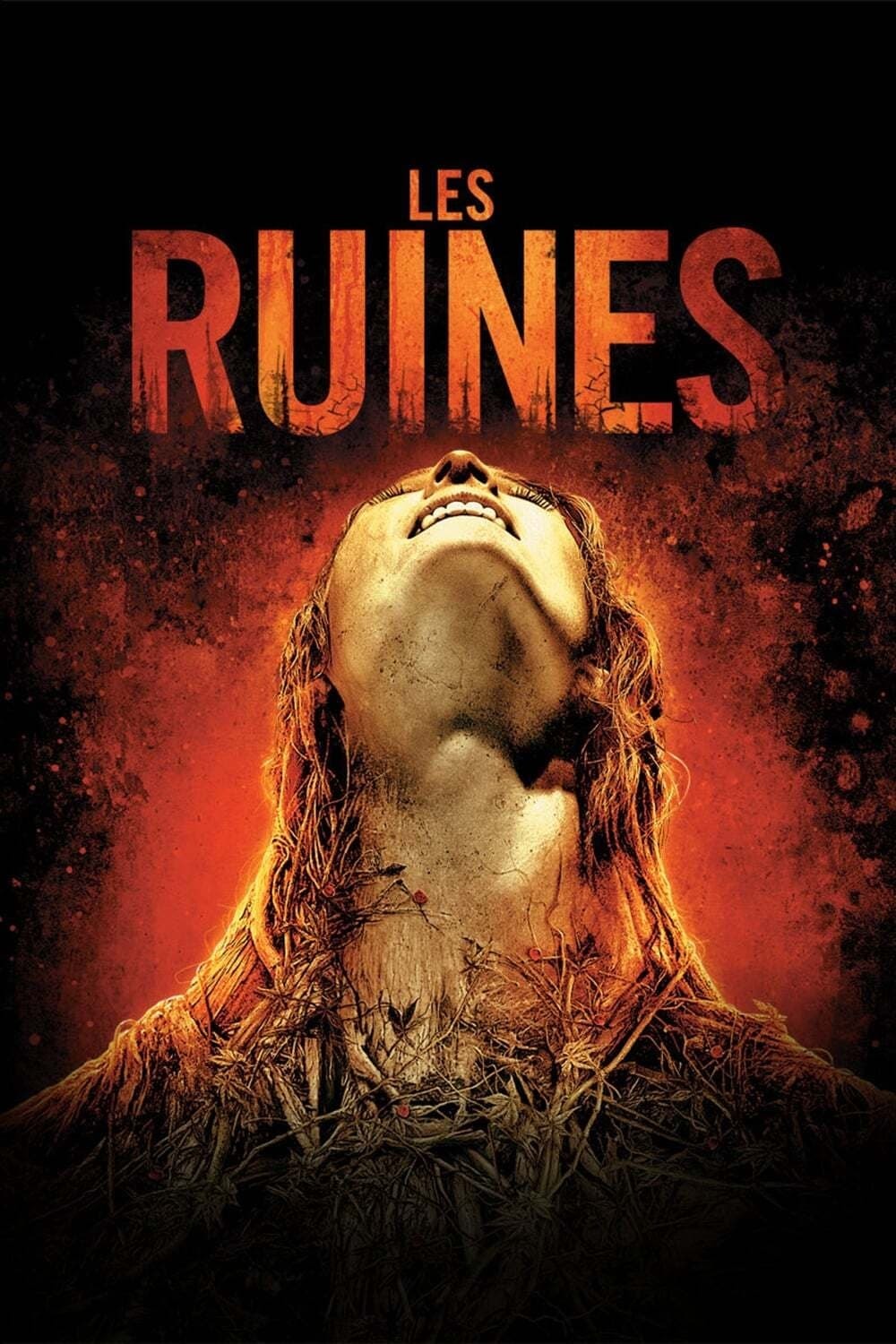 The Ruins - Memory Image