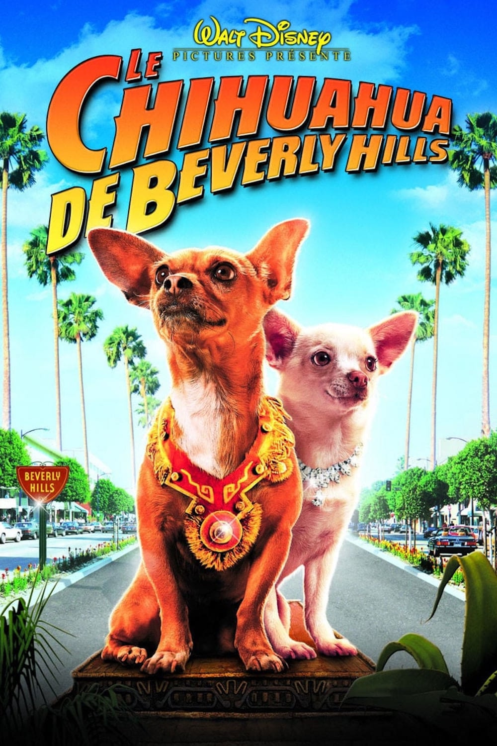 Le chihuahua de Beverly Hills - Memory Image