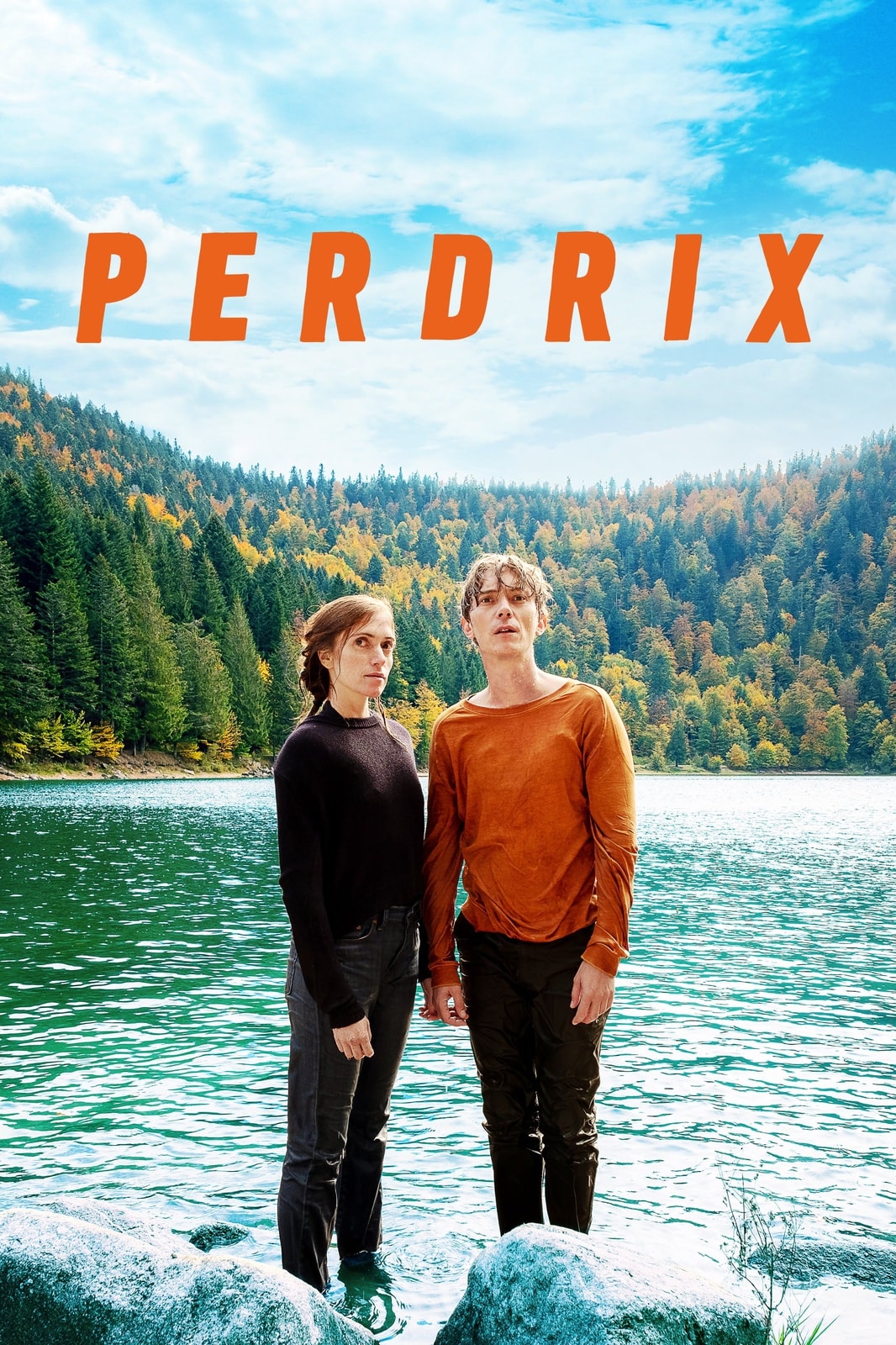 Perdrix - Memory Image