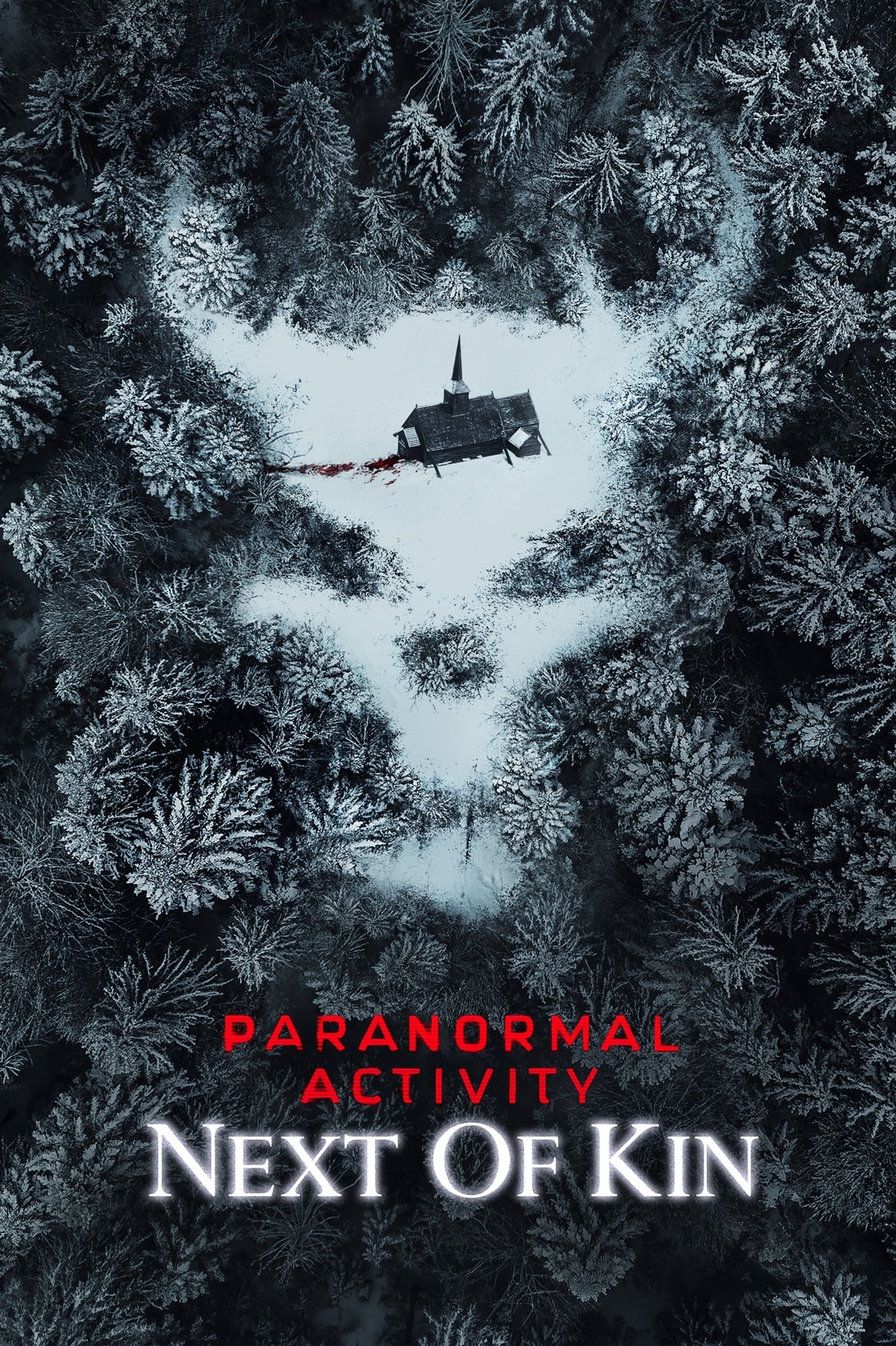 Paranormal Activity: Next of Kin - Memory Image