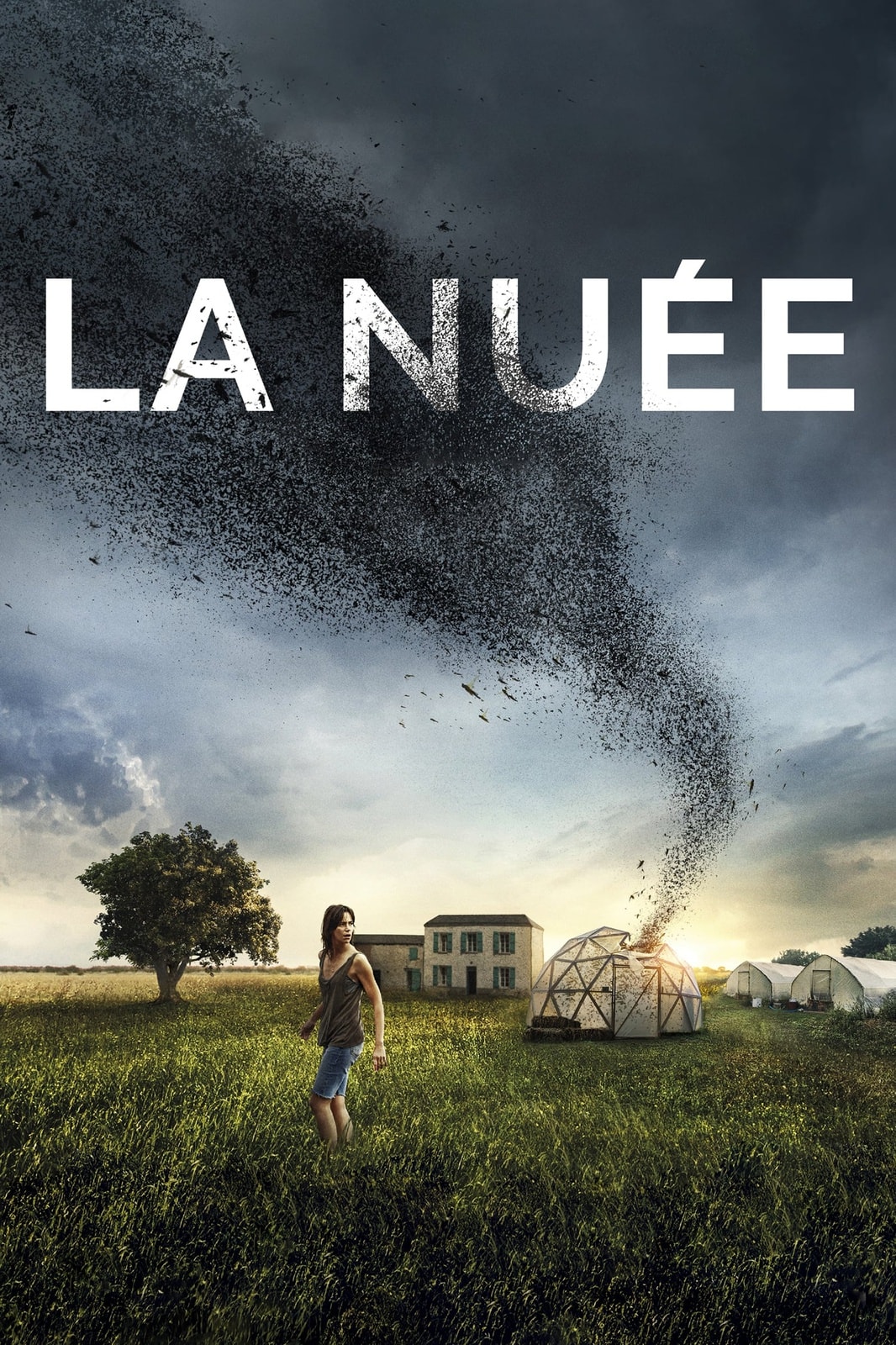 La nuée - Memory Image