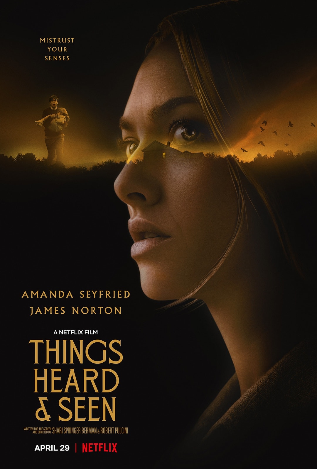 Things Heard & Seen - Memory Image