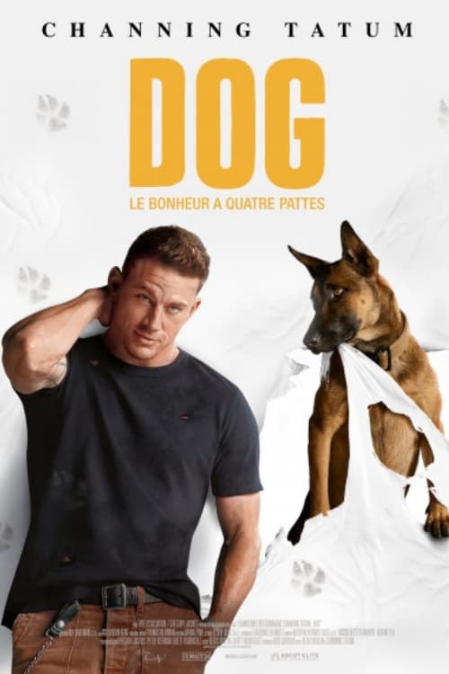 Dog - Memory Image