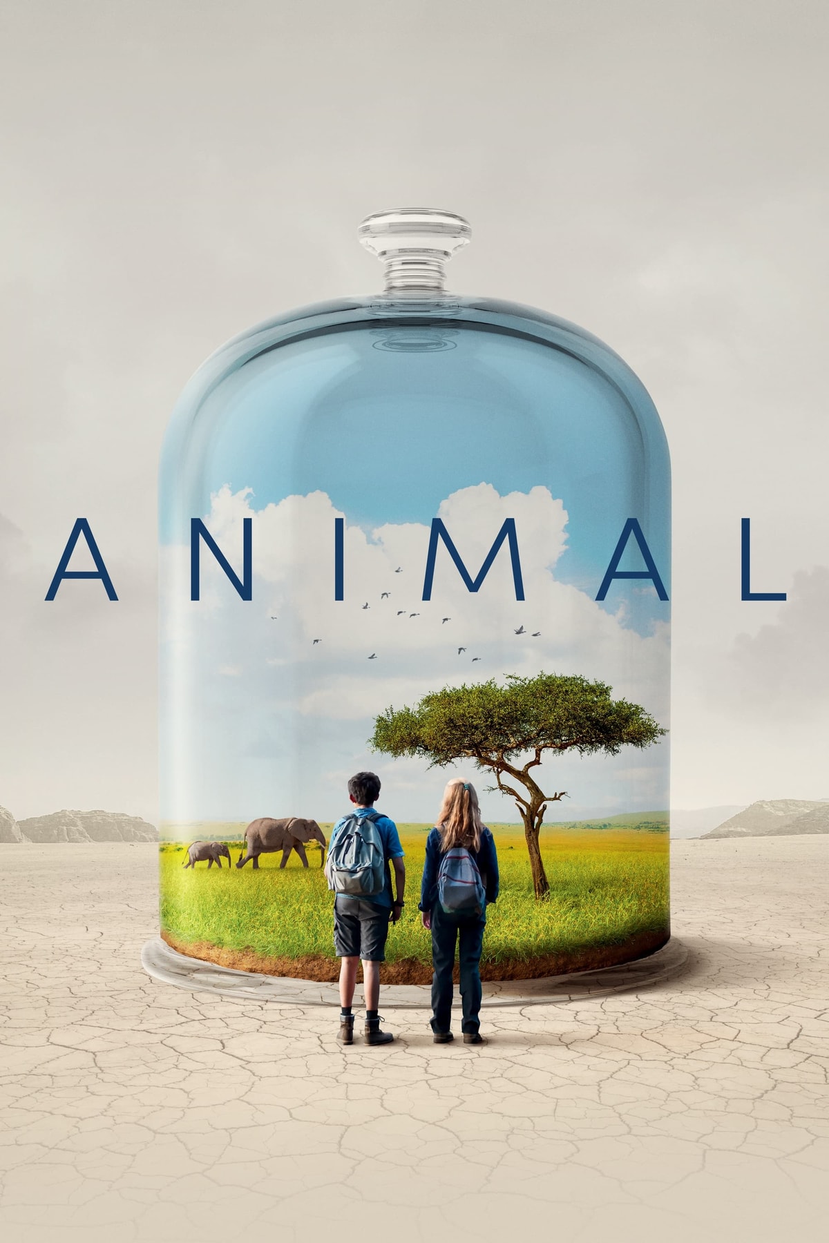 Animal - Memory Image
