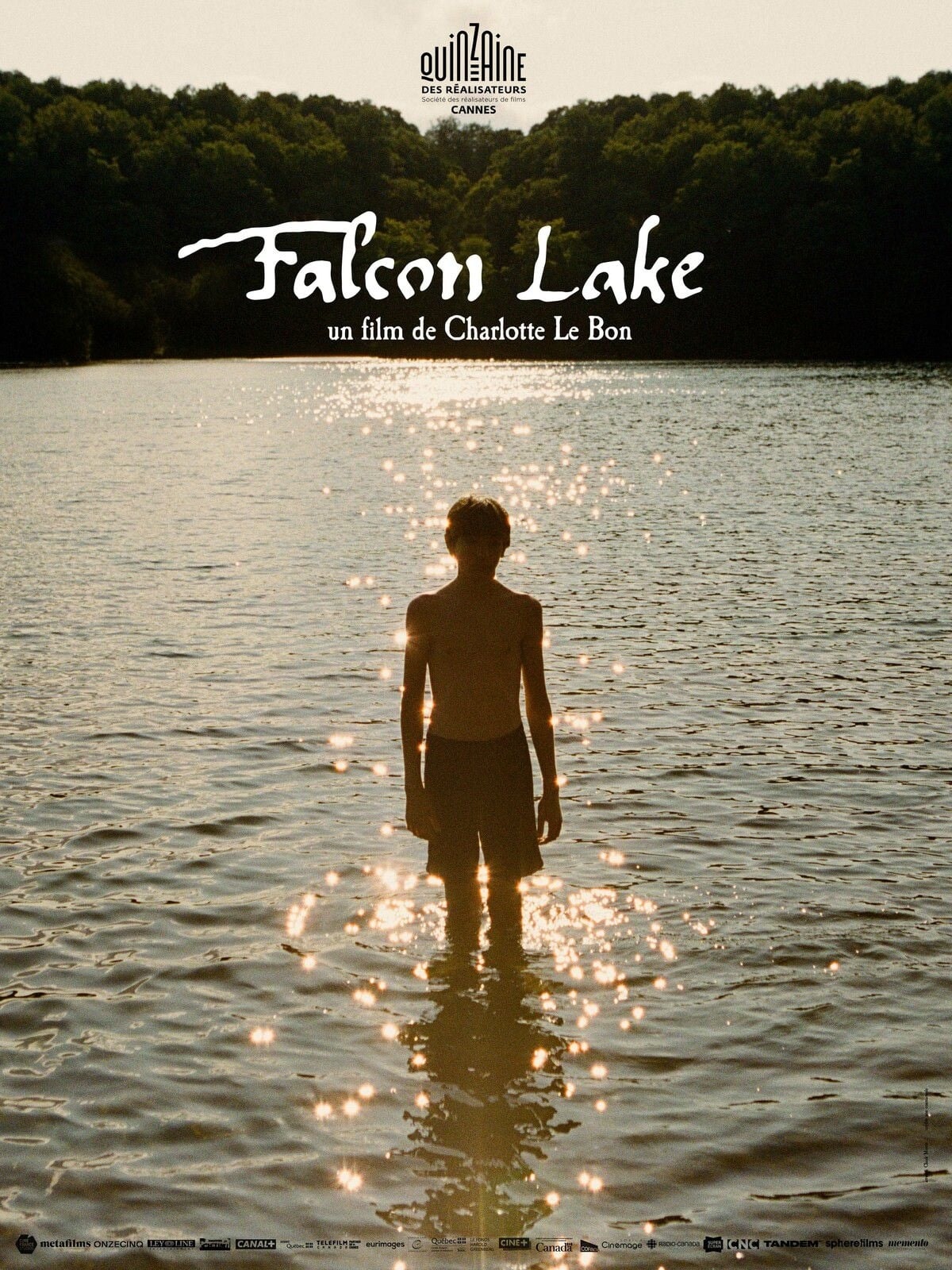 Falcon Lake - Memory Image