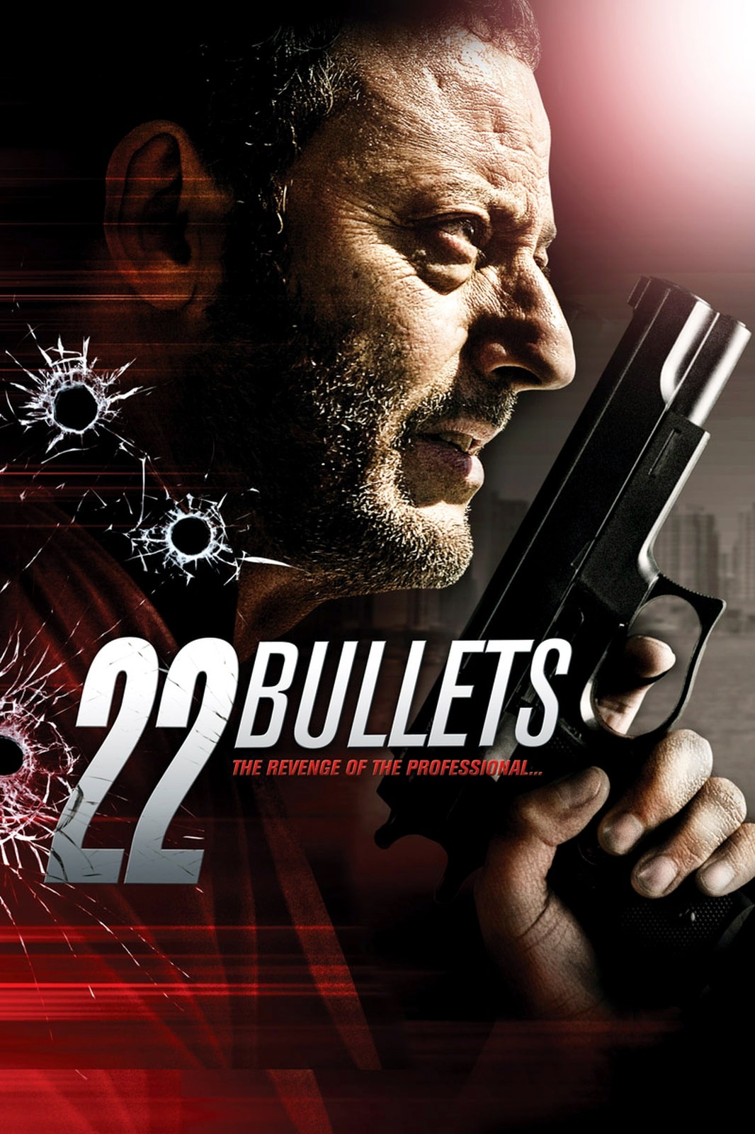 22 Bullets - Memory Image