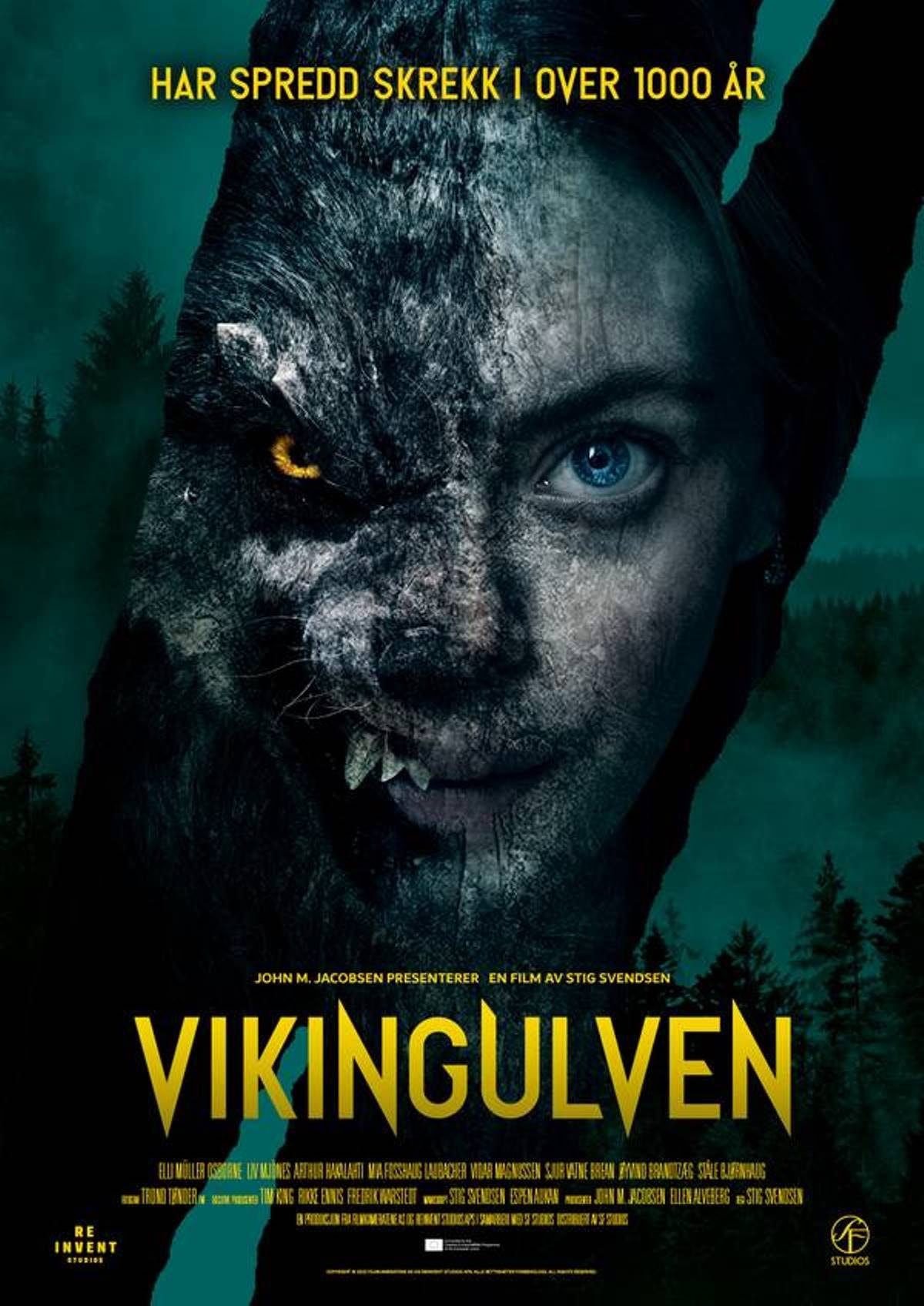 Viking Wolf - Memory Image