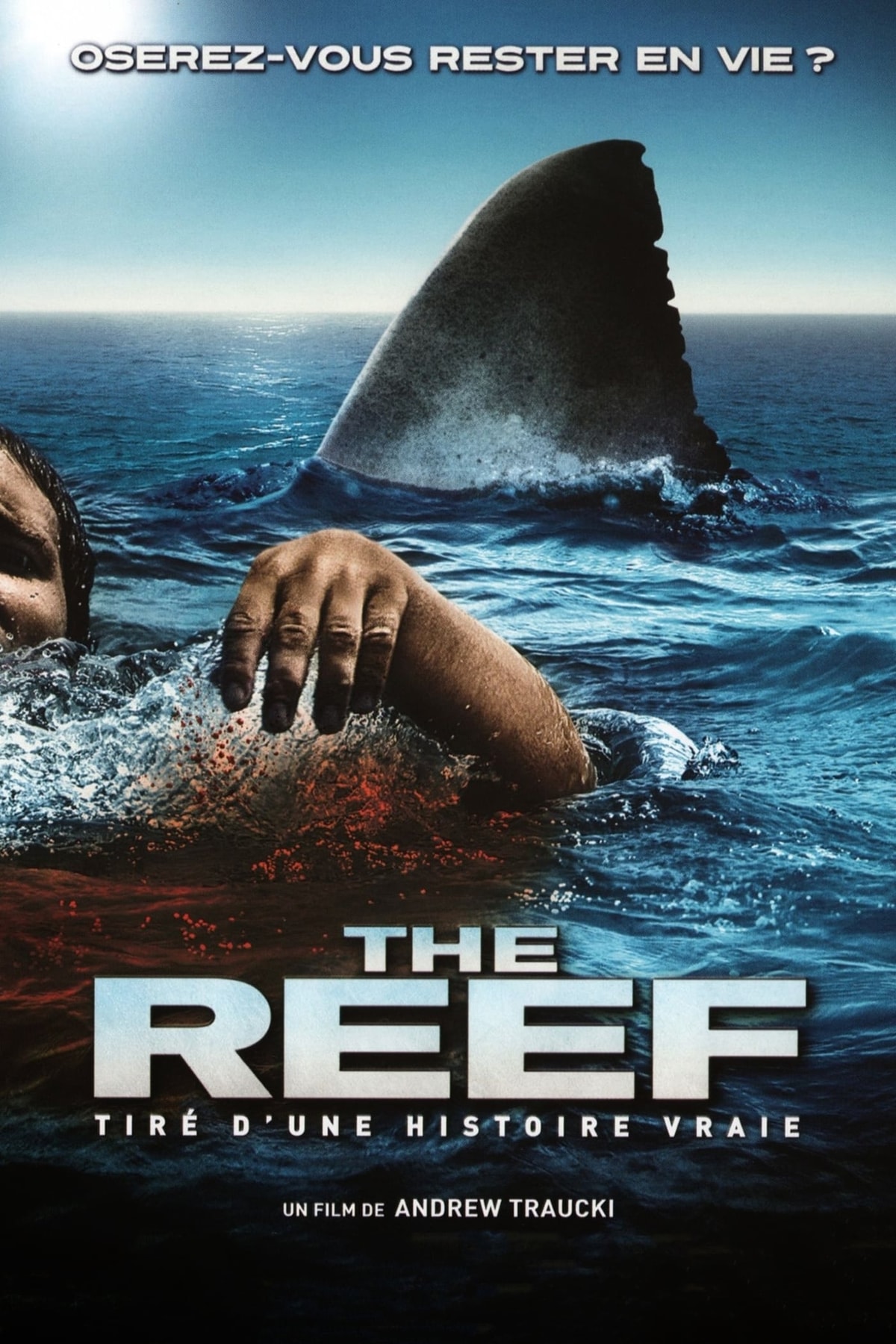 The Reef - Memory Image
