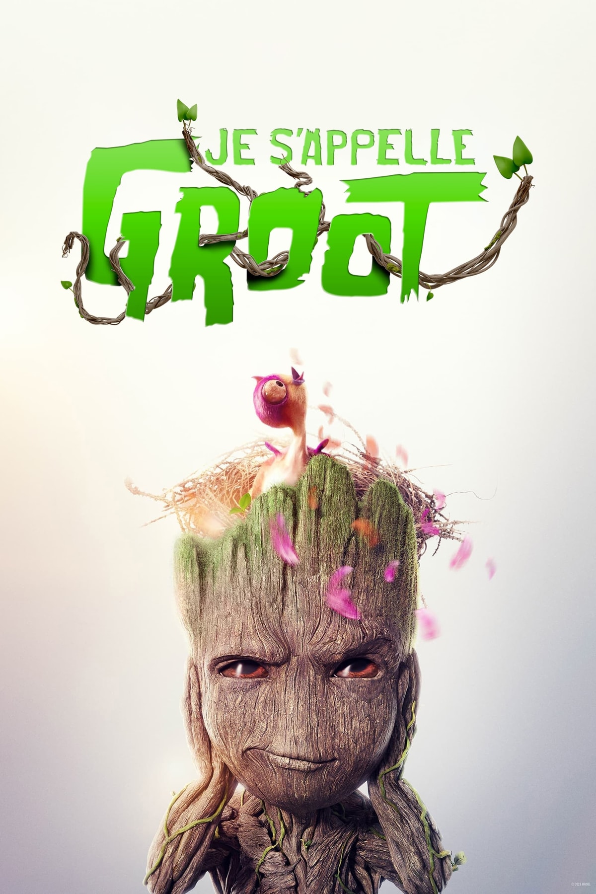 Je s'appelle Groot - Memory Image