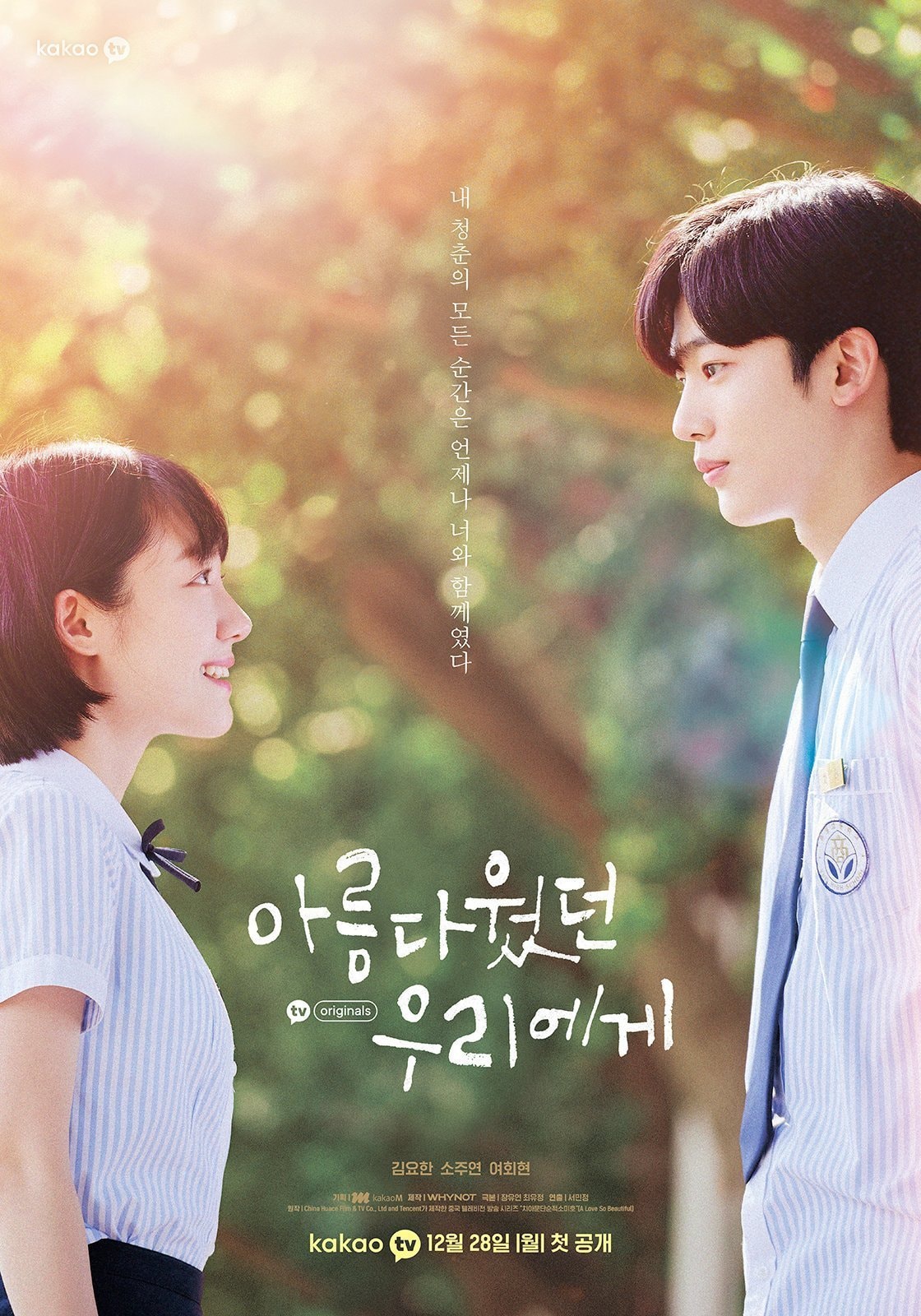 A Love So Beautiful - Memory Image