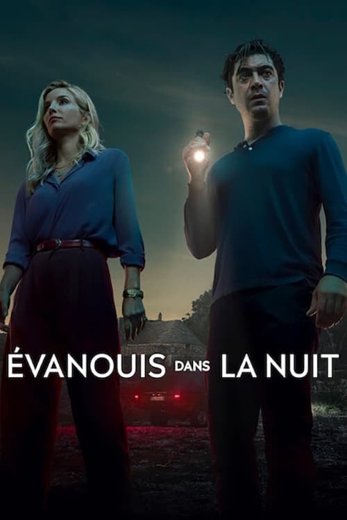 Évanouis dans la nuit - Memory Image