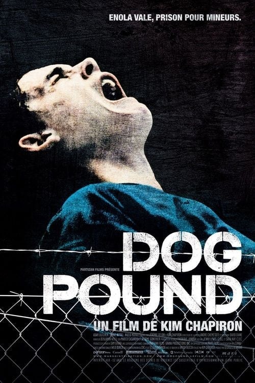 Dog Pound - Memory Image