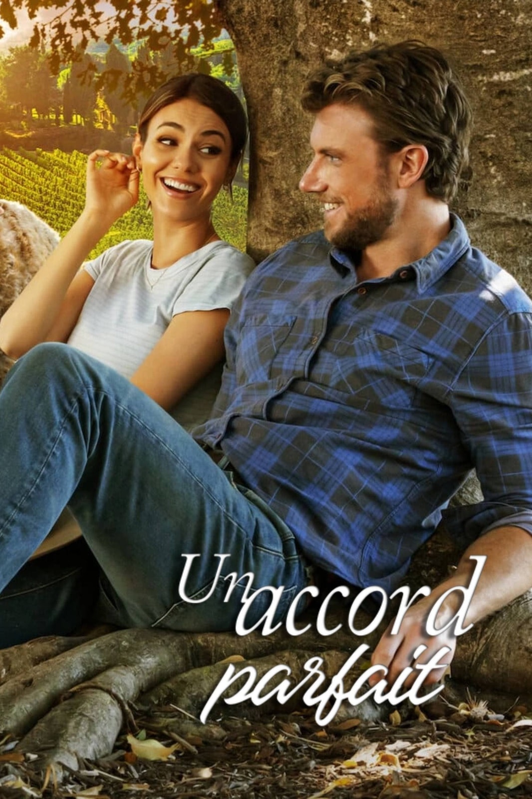 Un accord parfait - Memory Image