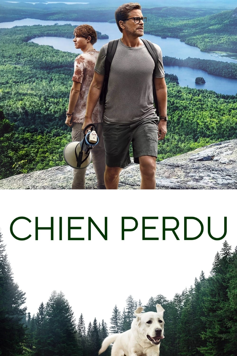 Chien perdu - Memory Image