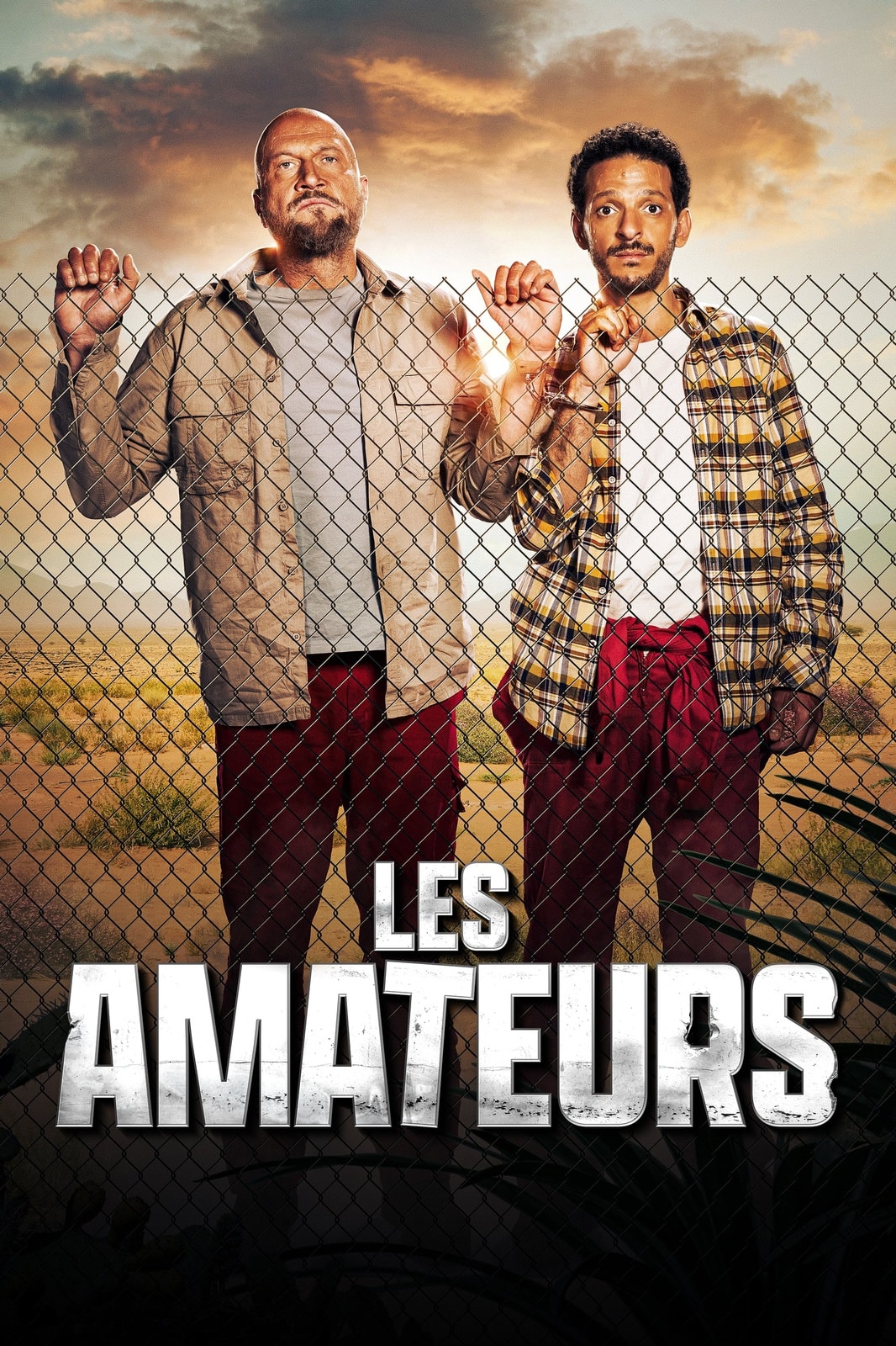 Les Amateurs - Memory Image