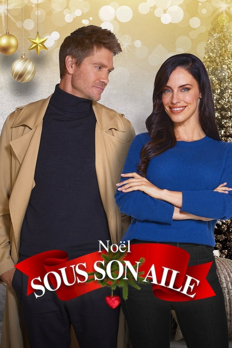 Noël sous son aile - Memory Image