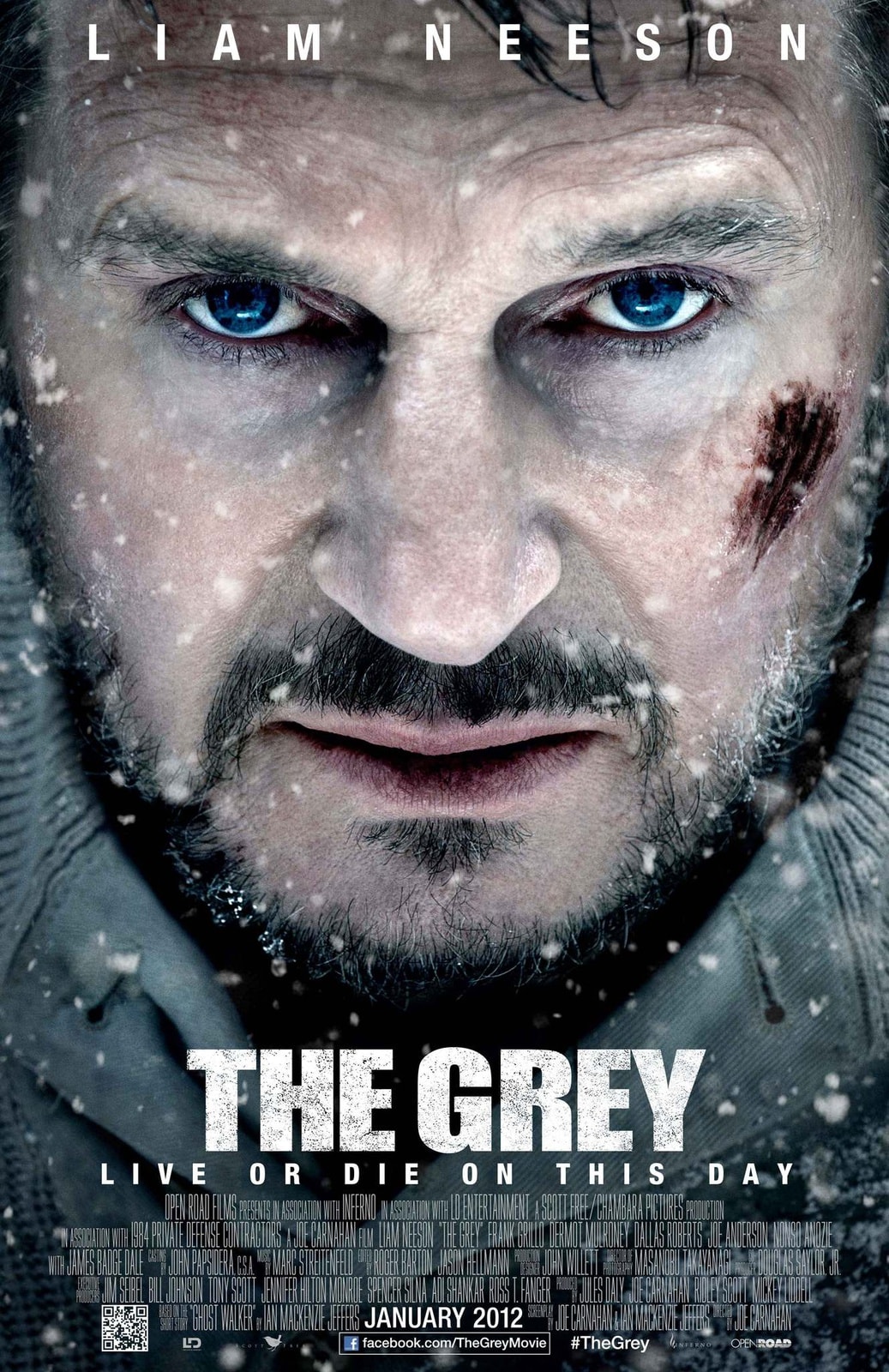 The Grey - Memory Image