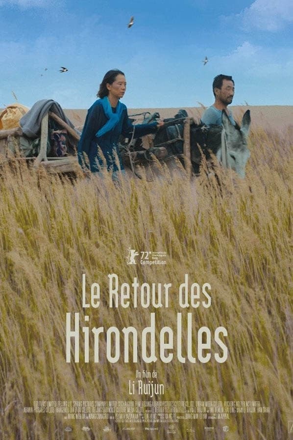 Le retour des hirondelles - Memory Image
