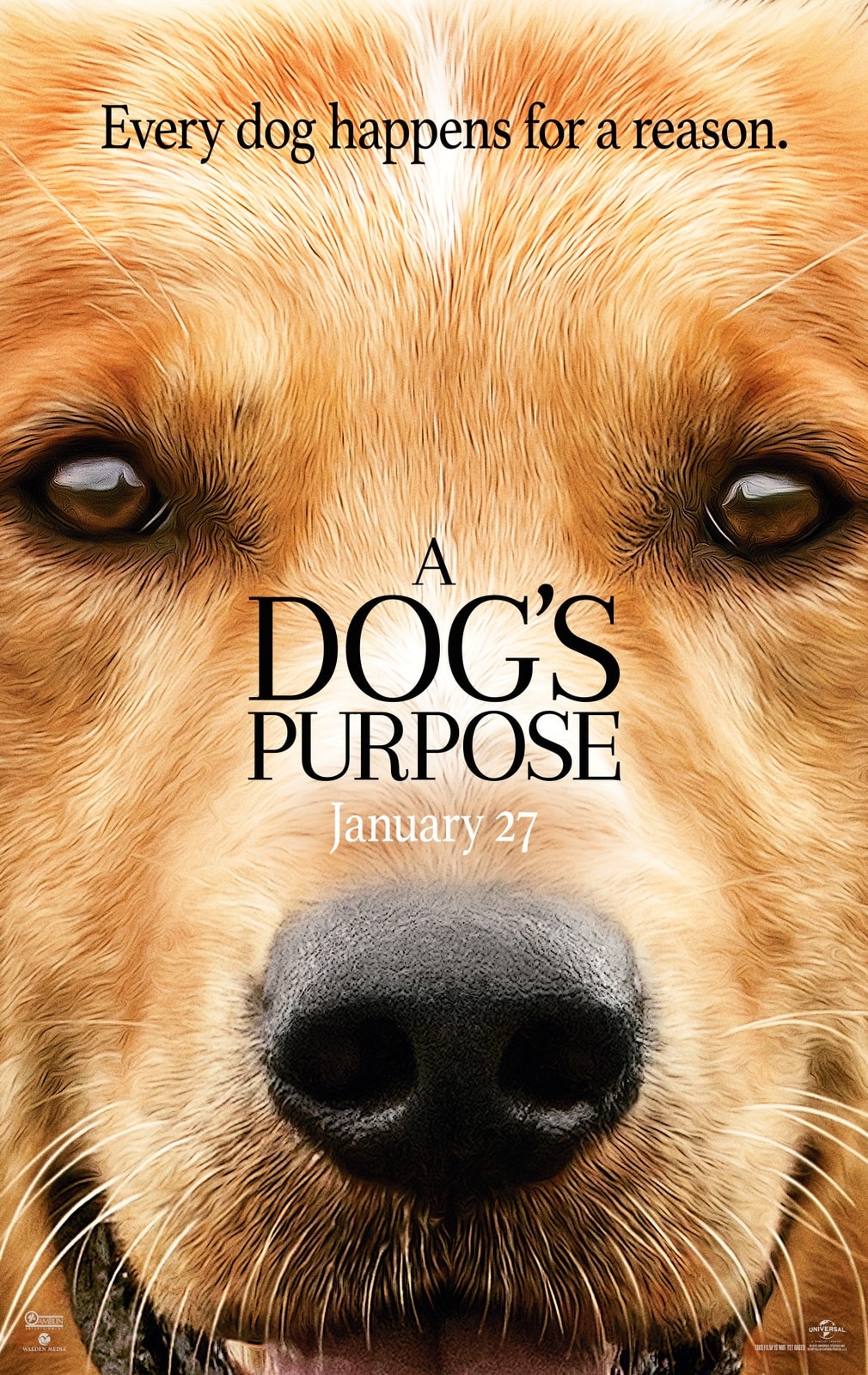 A Dog's Purpose - Memory Image