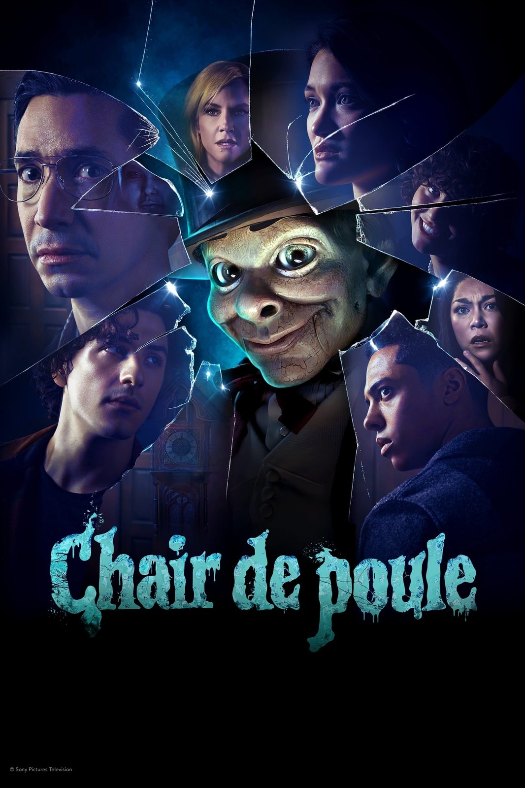 Chair de poule - Memory Image