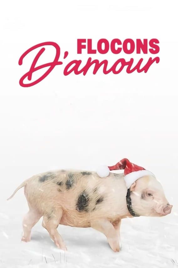 Flocons d'amour - Memory Image