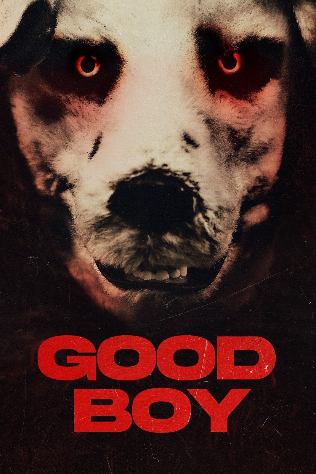 Good Boy - Memory Image
