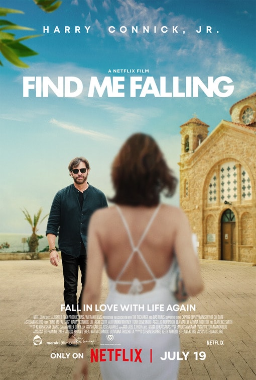 Find Me Falling - Memory Image