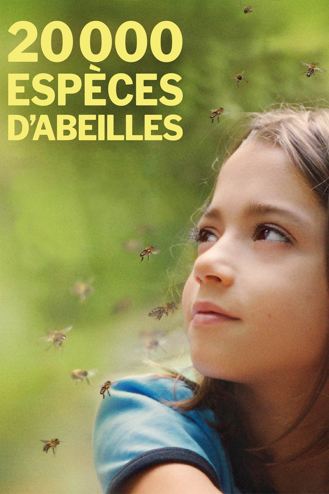 20 000 espèces d'abeilles - Memory Image