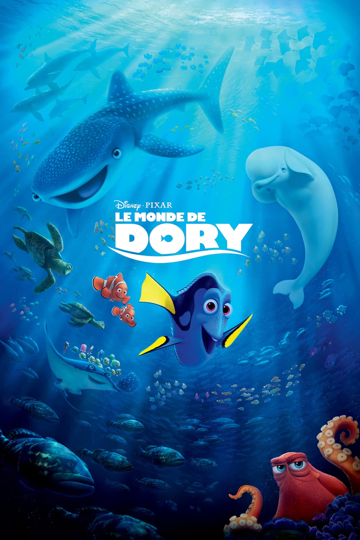 Le monde de Dory - Memory Image
