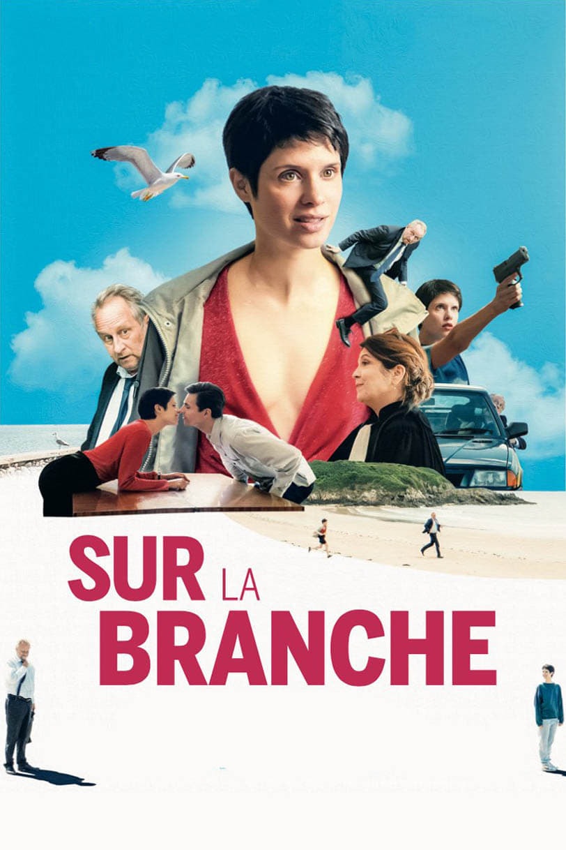 Sur la branche - Memory Image