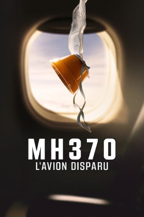 MH370: L'avion disparu - Memory Image
