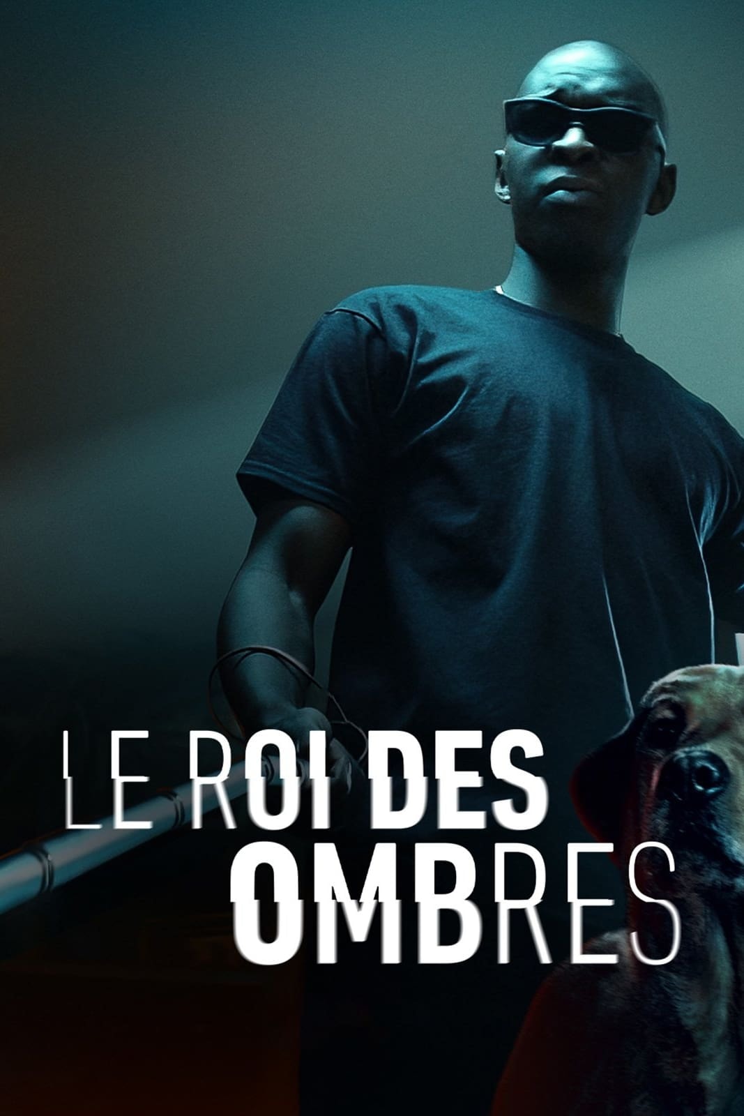 Le Roi des Ombres - Memory Image