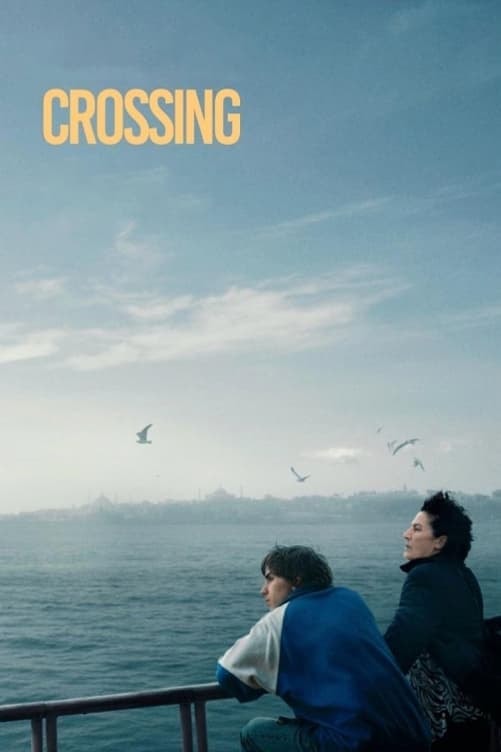 Crossing Istanbul - Memory Image