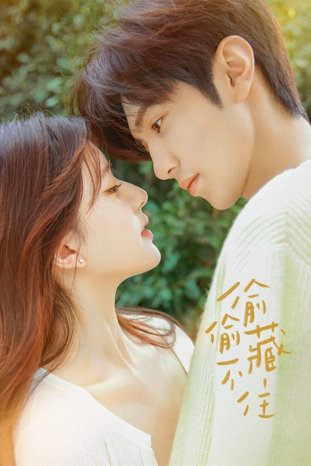 Hidden Love - Memory Image