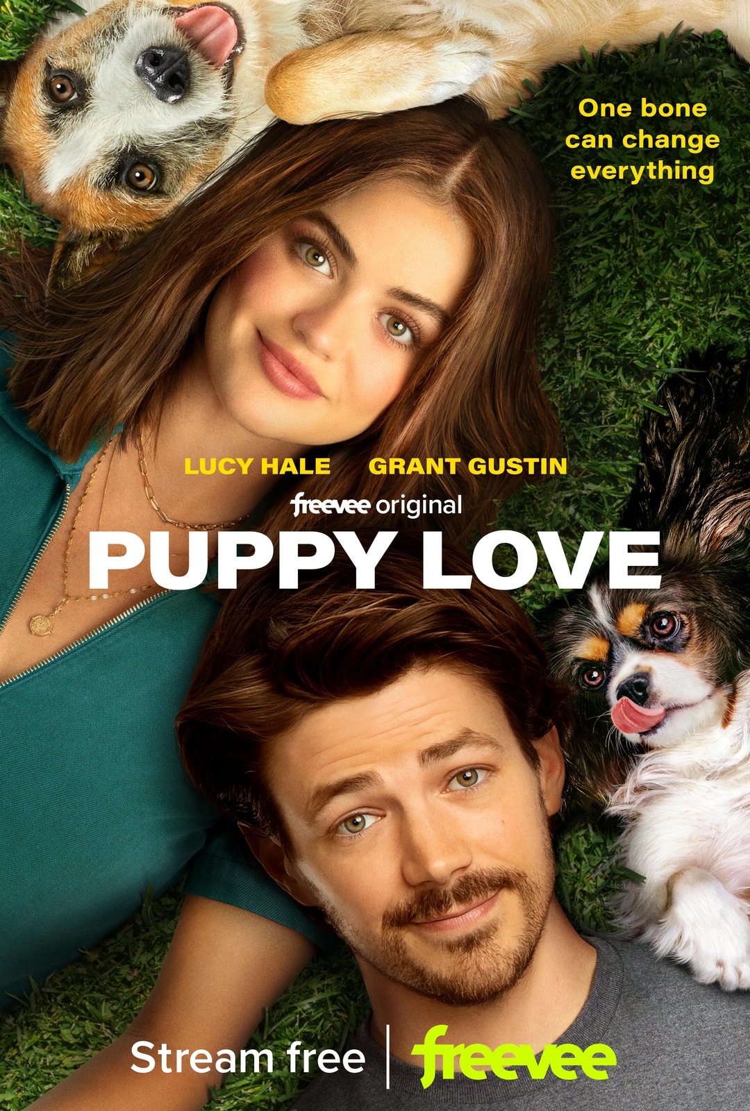 Puppy Love - Memory Image
